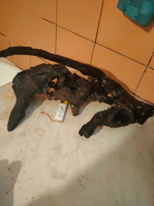 Do akwarium korzenie ładny zestaw do dekoracji dna