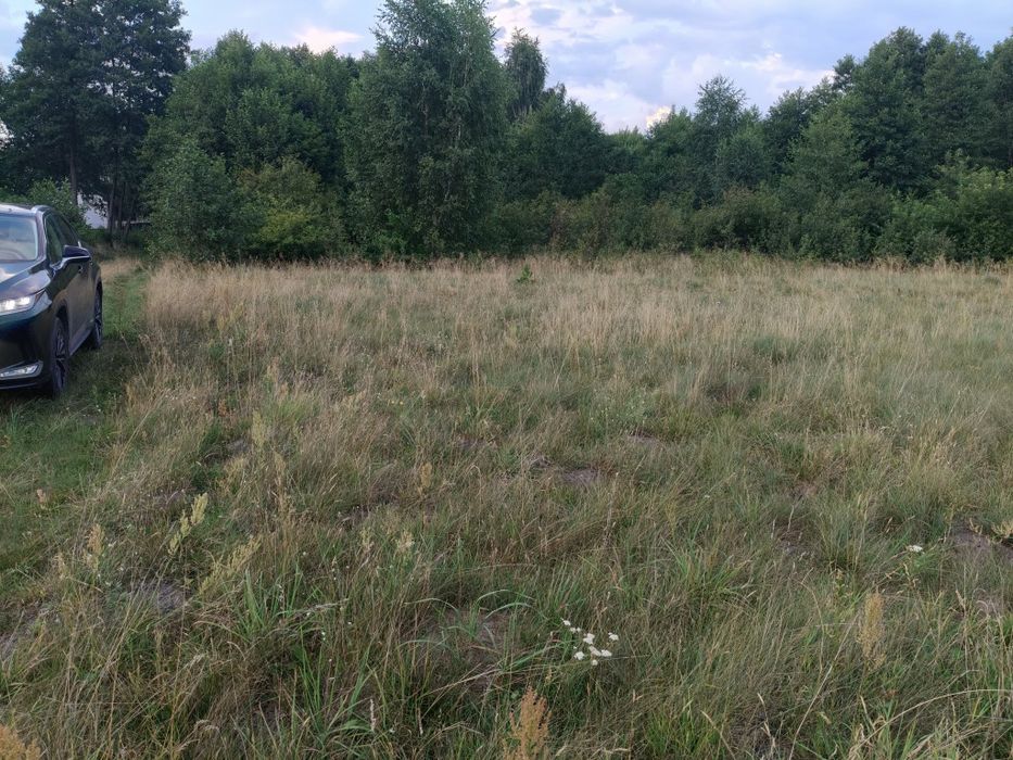Działka budowlana 2149 m² z decyzją WZ • Basinów • Gmina Zabrodzie - Widok 3
