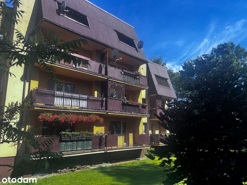 Rybnik Śródmieście- 1 piętro, duży balkon, do wejścia od zaraz