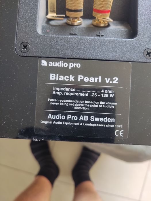 Kolumny głośnikowe Audio Pro