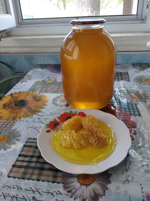 Мед літній, соняшник, липа