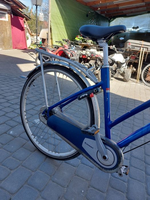 Rower holenderski Giant