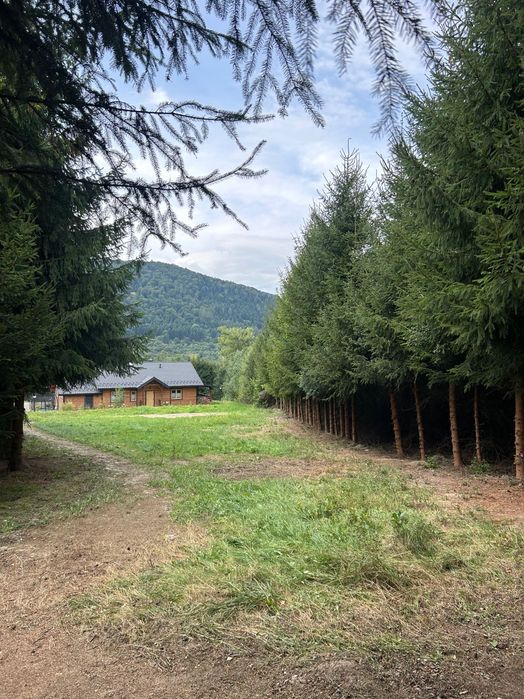 Działka budowlana 12 arów – Uście Gorlickie, Beskid Niski