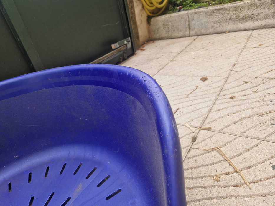 Cama de plástico rígido - cães XXL