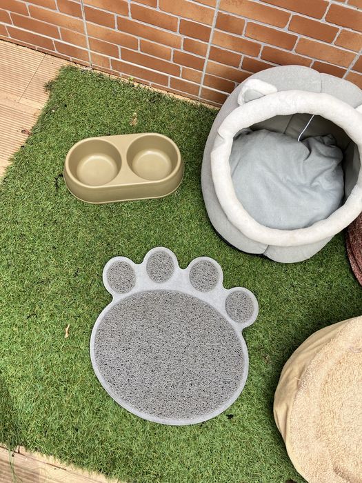 Acessorios para gato