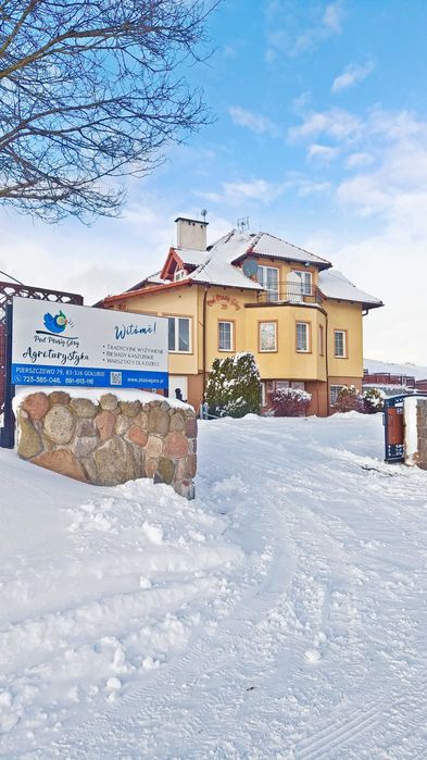 DOM NA KASZUBACH NA WYŁĄCZNOŚĆ max. 22 osób, blisko Wieżycy, kuligi!