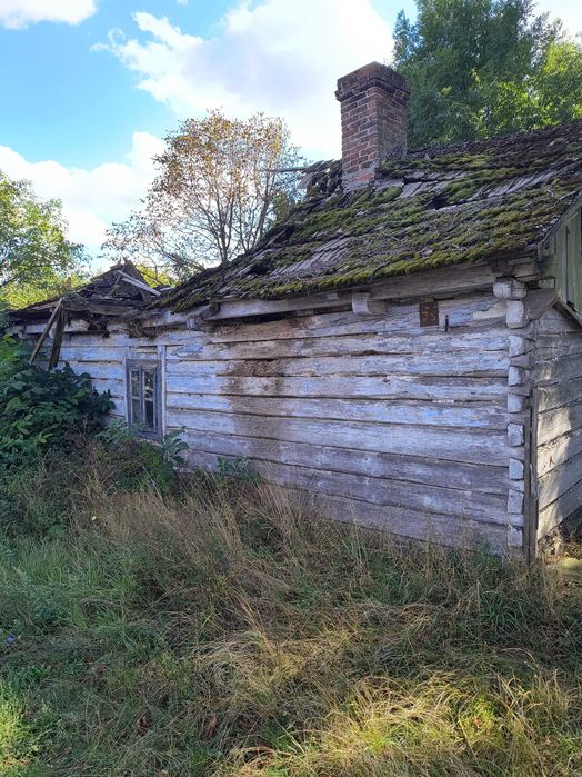 Oddam gratis  mieszkanie drewniane do rozbiórki.