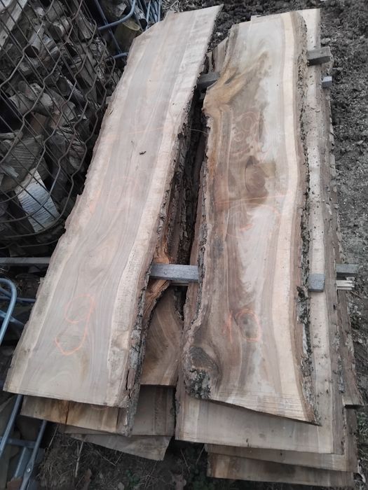 Foszty deski orzech suche mokre