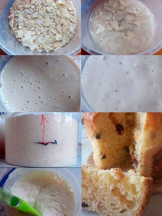 Закваска для хлеба/сдобы: сухие/живые: пшеничная, ржаная, Левито Мадре