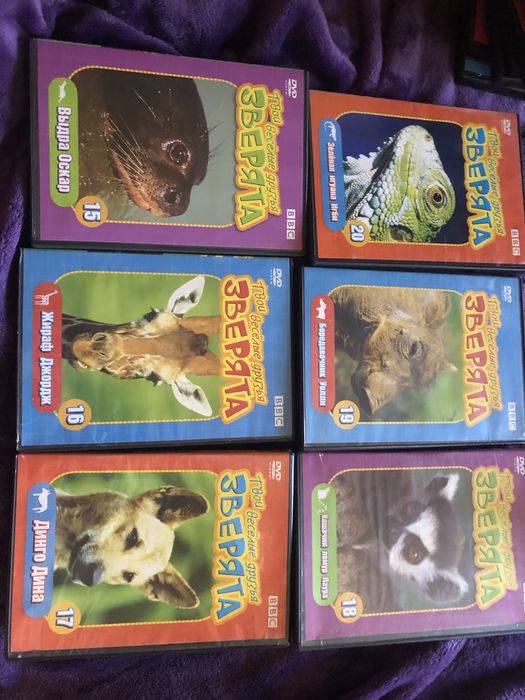 Двд диски для детей 24 шт. Звери животные