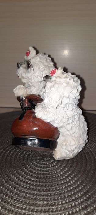 2 pieski w bucie skarbonka