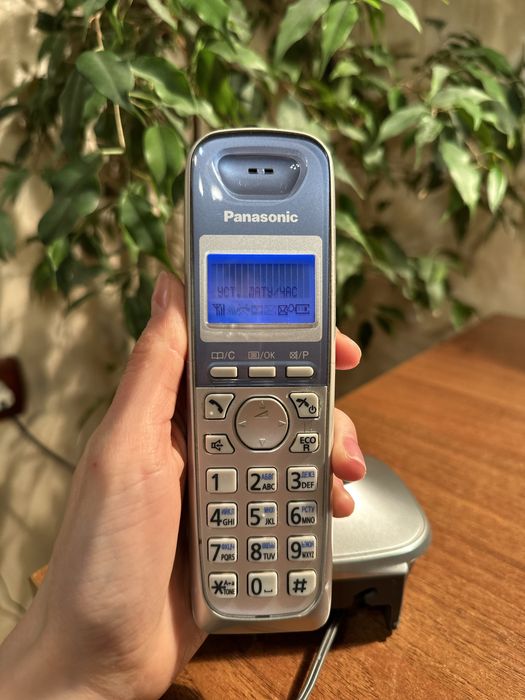 Стаціонарний телефон Panasonic KX-TG2511UA