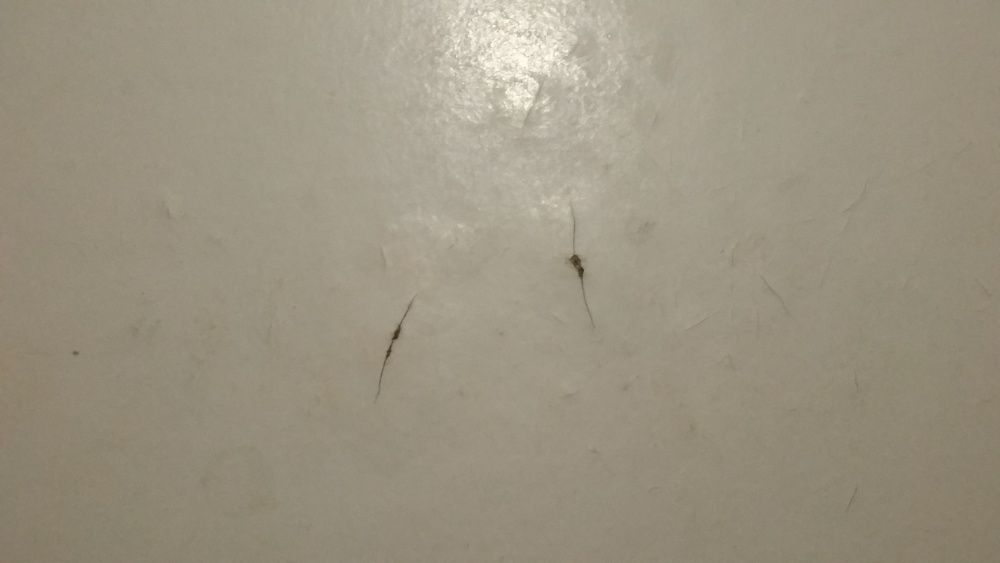 Крышка для стиральной машины Indesit W93T 49х59