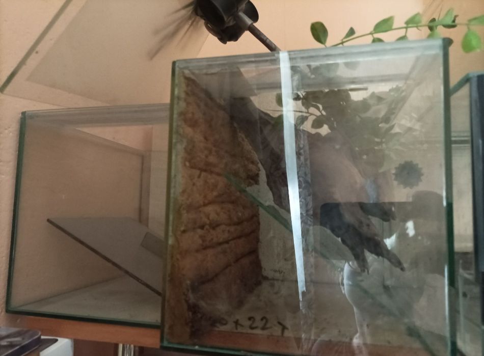 Terrarium dla zwierząt egzotycznych