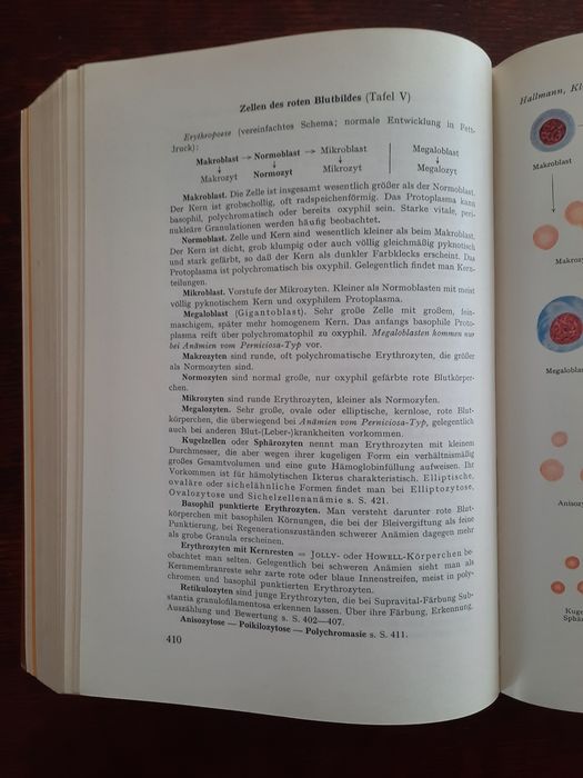 Klinische Chemie und Mikroskopie - Lothar Hallmann