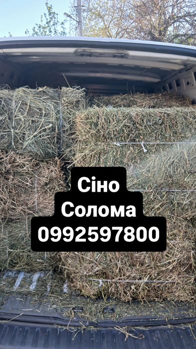 сено солома тюки сіно солома доставка