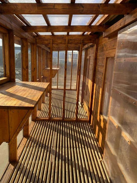 Sprzedam Gołębnik Premium