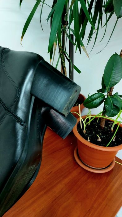 Чоботи демісезонні 41 р. осінні ECCO шкіра