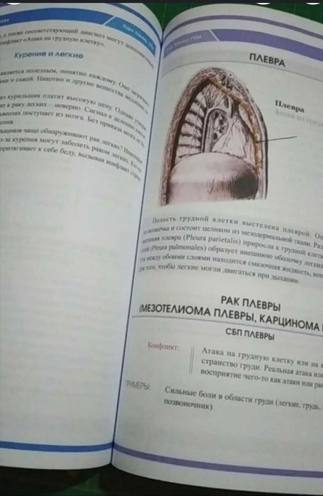 Германская Новая Медицина. Стенин/Хамер