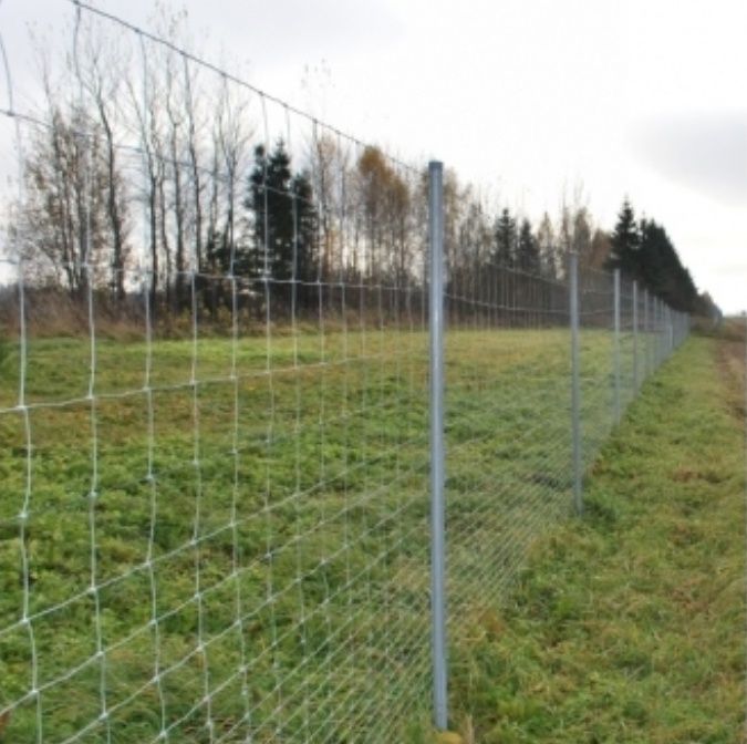 Siatka leśna ogrodzeniowa 50mb