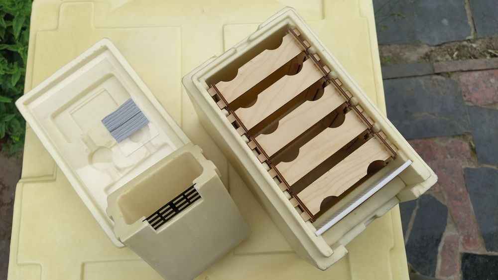 Нуклеус ППУ, Вулик