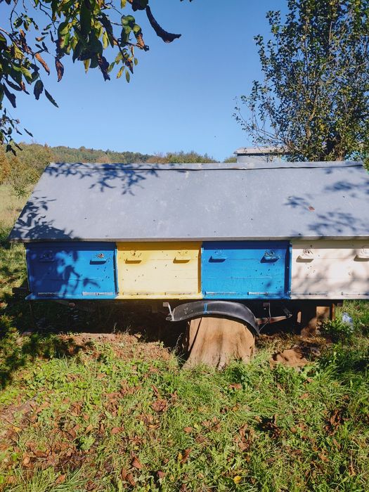 Продам два бджоло павільйони на українську рамку!