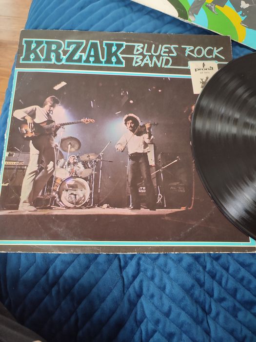 Płyta gramofonowa vinyl winyl Krzak Blues Rock Band