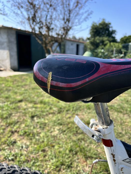 Bicicleta de montanha