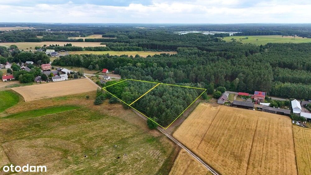 Piękne działki wśród lasów 5500 i 8700 m²!