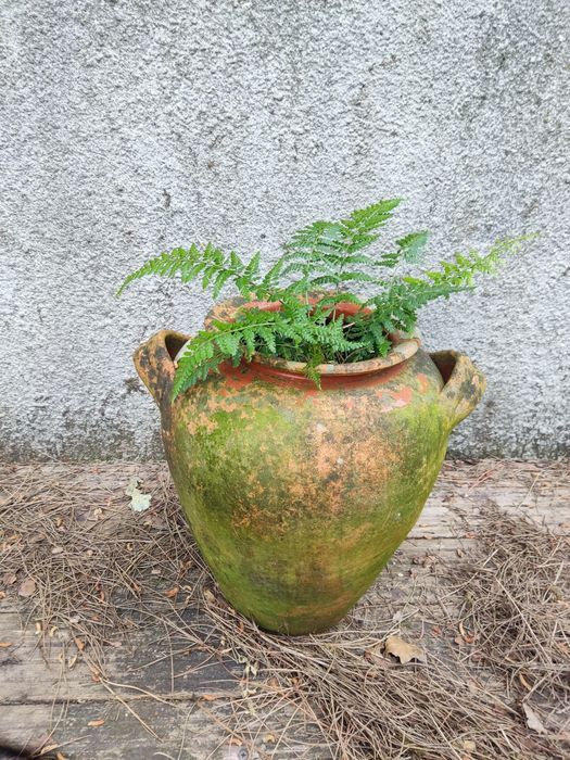 Vaso cerâmica rústico grande com asas laterais