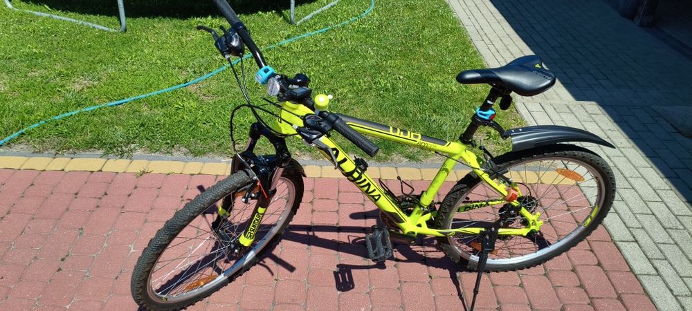 Kellys alpina eco