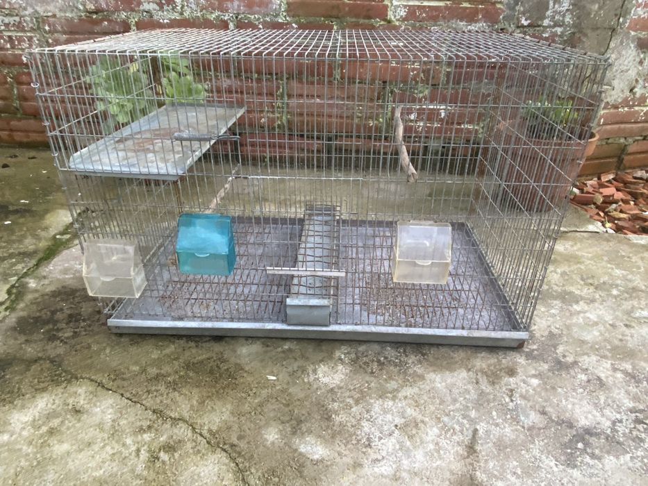 Viveiro para canarios ou agapornis/ troca por casal canarios