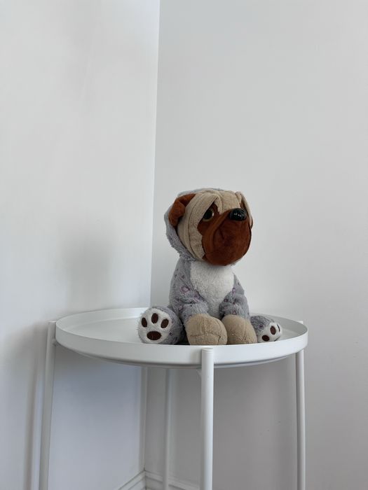 Pluszowy piesek w bluzie