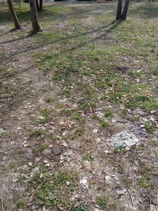 Продажа земли в с, Геронимовка