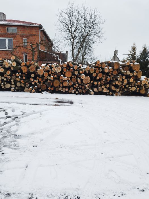 Sprzedam drzewo twarde grab