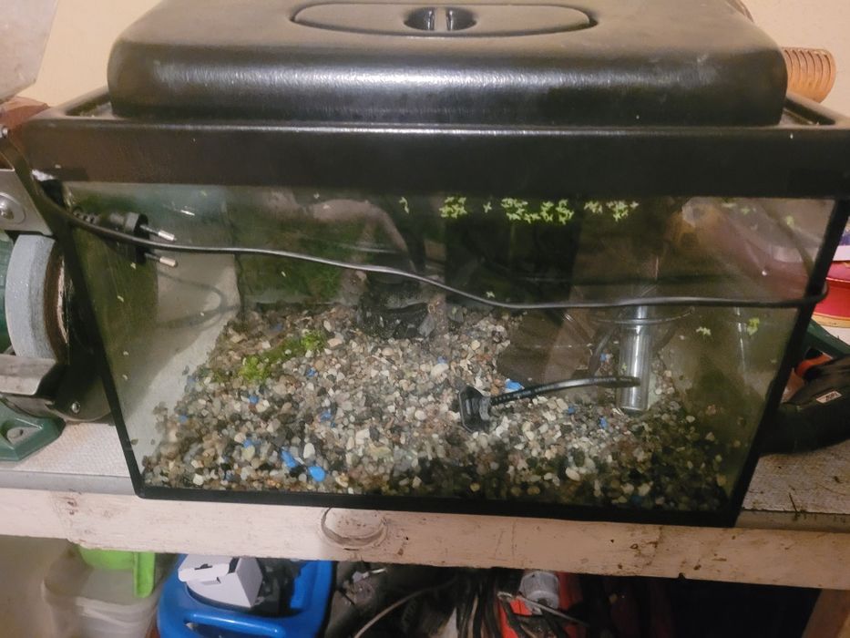 Akwarium  40 l plus grzalka