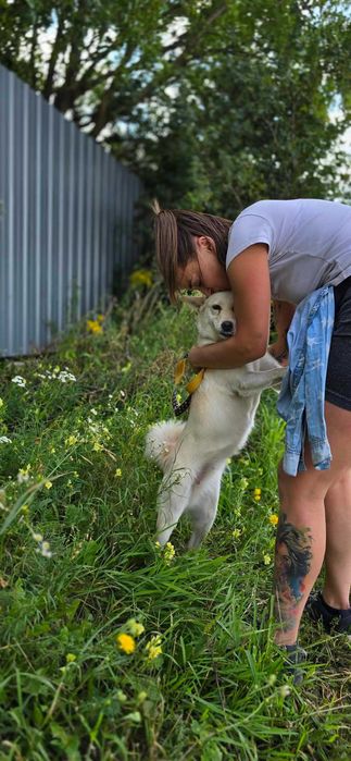 Bianka i Amur - dwa małe psy szukają domu. Adopcja