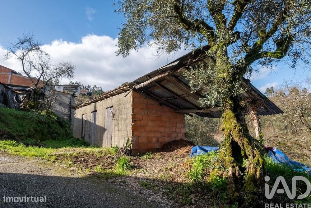 Casa / Villa T3 em Penacova de 137 m2