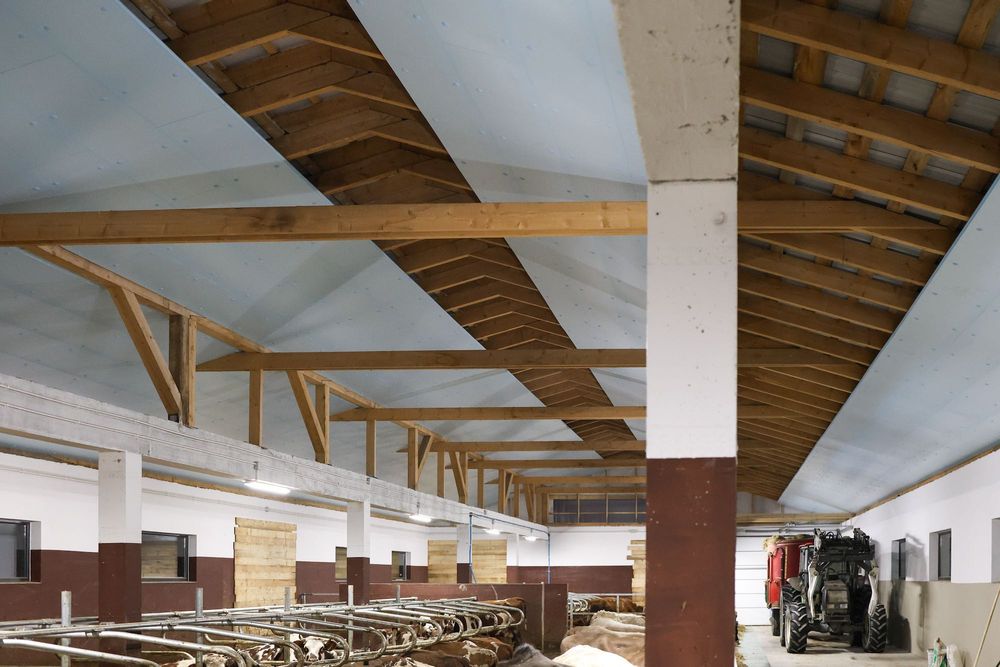 Płyta Ocieplana Ocieplająca do Kurnika Obory Chlewni Styrodur XPS AGRO