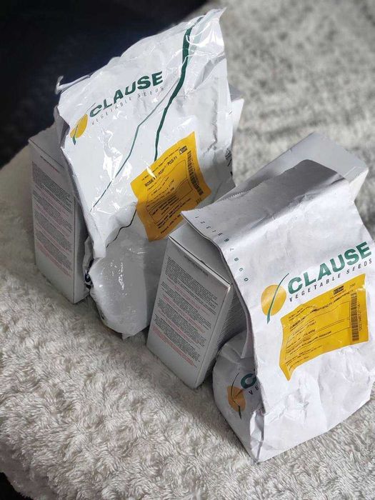 Насіння цукрової кукурудзи