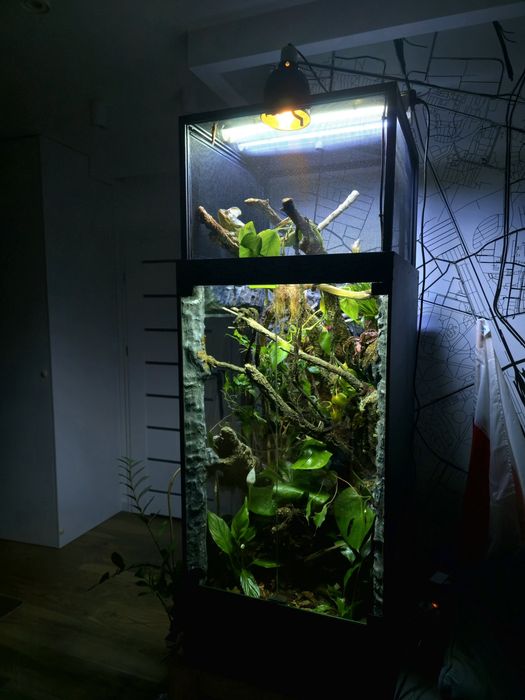 Terrarium na zamówienie | Bioaktywne | Ścianka strukturalna