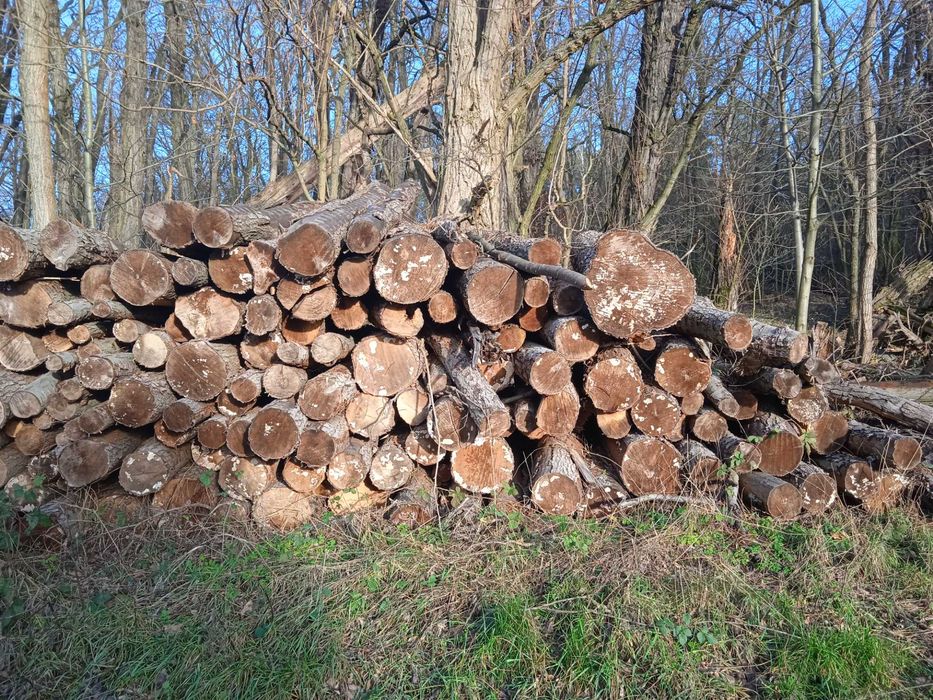 Sprzedam drewno opałowe - dębina, sezonowane , suche