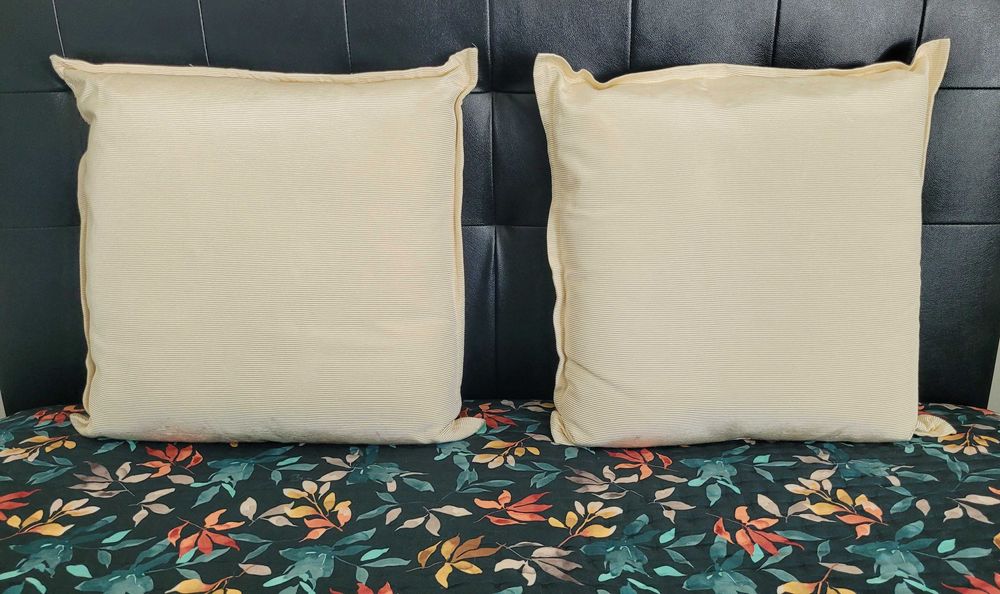 Almofadas decorativas  Gato Preto novas