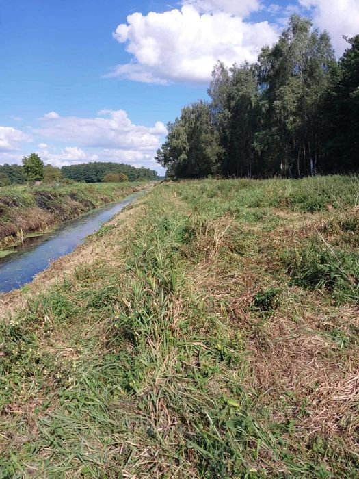 Działka 1,07 ha -spokojne miejsce na dom,blisko lasu nad rzeka Krzną