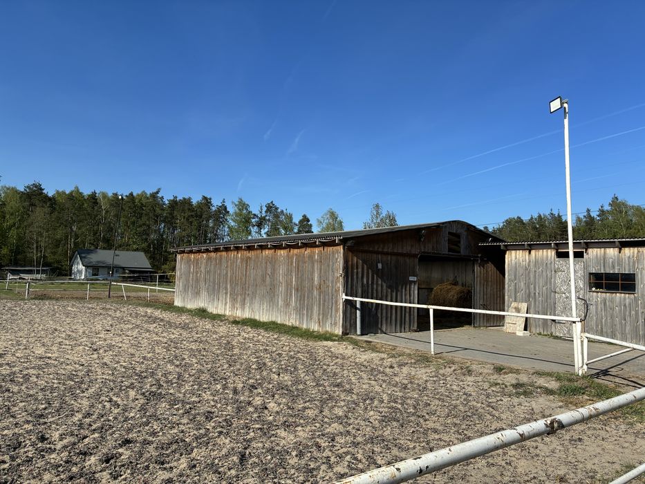 Wynajem boksów - Stajnia Eques