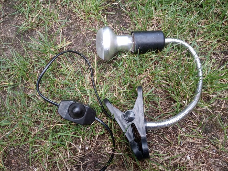Lampa grzewcza dla żółwi