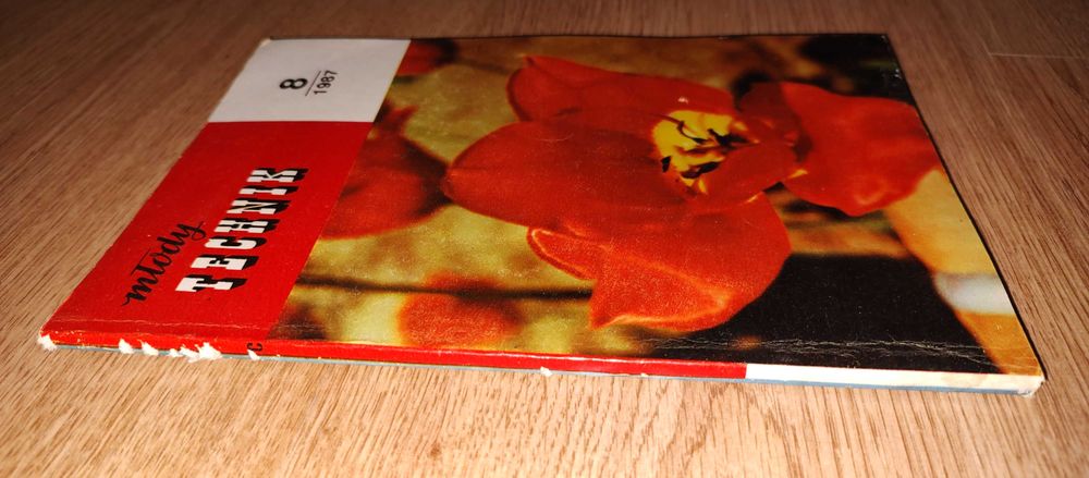 Młody Technik 8/1987