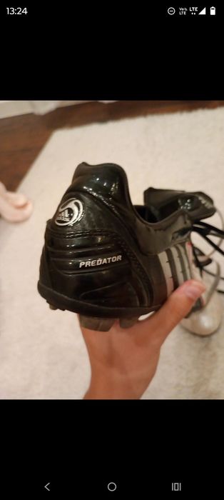 Korki predator..