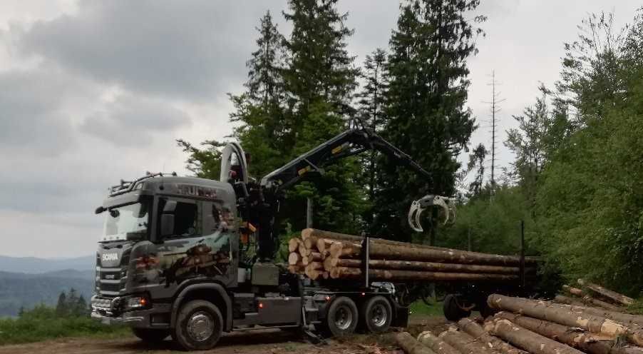 Tartak, Wiezba dachowa,Tarcica, deski , kantówka Małopolska i Śląsk