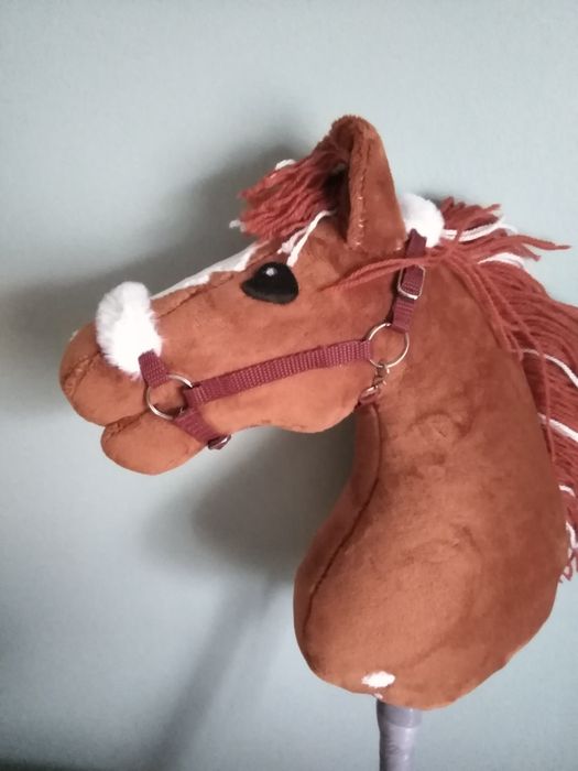 Hobby Horse, Konik na kiju